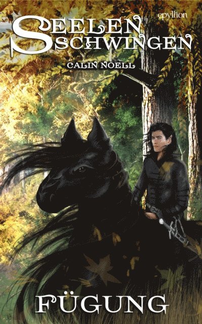 Calin Noell - Fügung, E-bok