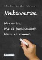 Andreas Dripke, Marc Ruberg, Detlef Schmuck - Metaverse, Häftad