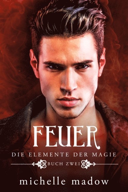 Michelle Madow - Feuer - Die Elemente der Magie 2, E-bok