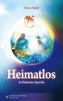 Hector Malot - Heimatlos, Häftad