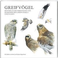 Bernd Pöppelmann, Stephan Pöppelmann - Greifvögel, Övrigt