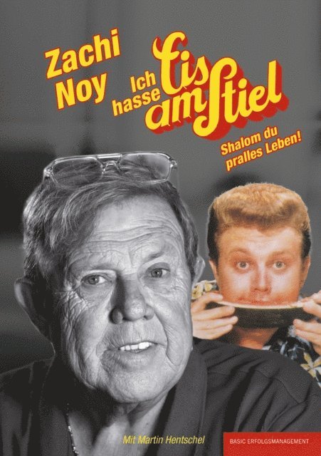 Martin Hentschel, Zachi Noy - ich hasse Eis am Stiel, E-bok