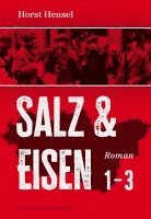 Horst Hensel - Salz & Eisen, Inbunden