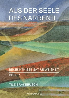 Tile Brakebusch - Aus der Seele des Narren II, Häftad