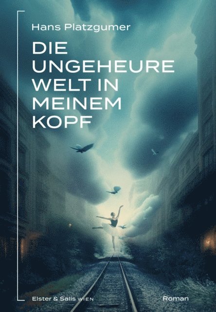 Hans - Die ungeheure Welt in meinem Kopf, E-bok