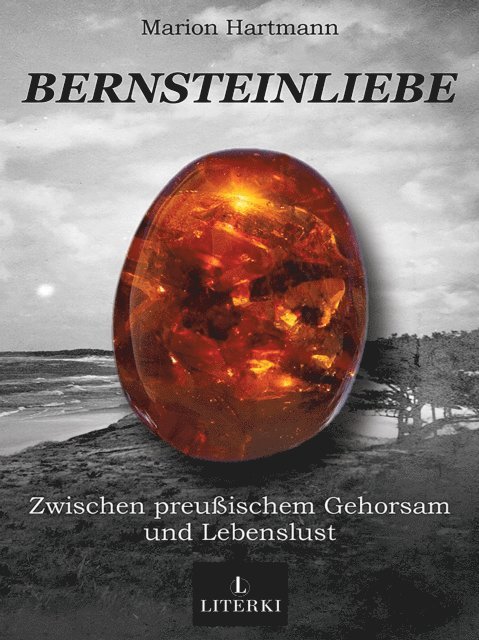 Marion Hartmann - Bernsteinliebe, E-bok