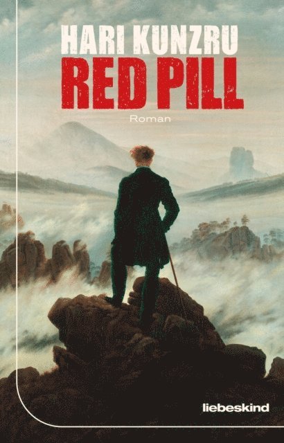 Hari Kunzru - Red Pill, E-bok