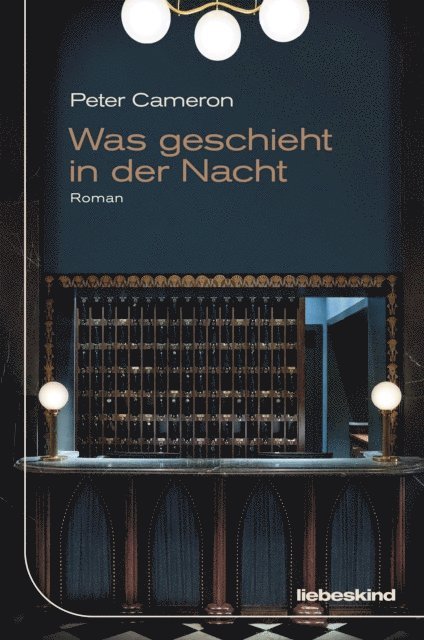 Peter Cameron - Was geschieht in der Nacht, E-bok