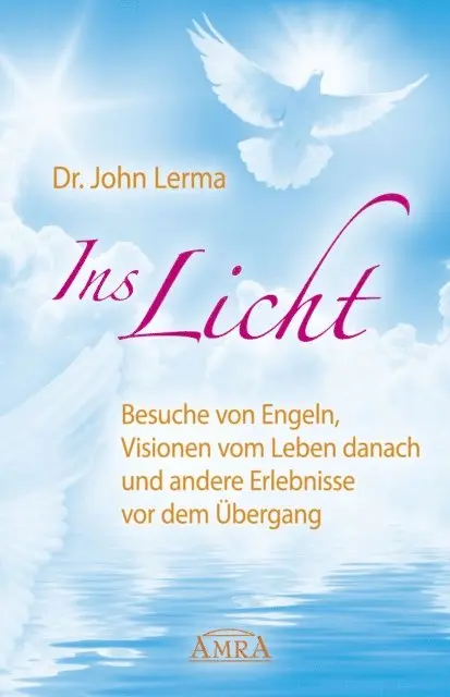 John Lerma - Ins Licht, E-bok. Tillgänglighet: Lägg i varukorg