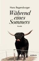 Hans Regensburger - Während eines Sommers, Häftad