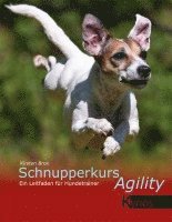 Schnupperkurs Agility