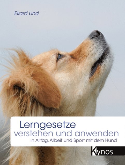 Ekard Lind - Lerngesetze verstehen und anwenden, E-bok