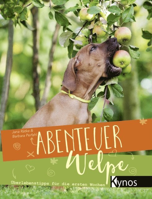 Barbara Perfahl, Jana Ratke - Abenteuer Welpe, E-bok