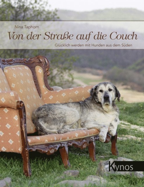 Nina Taphorn - Von der Straße auf die Couch, E-bok. Tillgänglighet: Lägg i varukorg