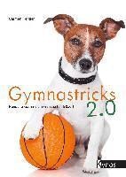 Carmen Heritier - Gymnastricks 2.0, Häftad. Tillgänglighet: Lägg i varukorg