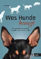 Karin Jansen - Was Hunde bewegt, Inbunden
