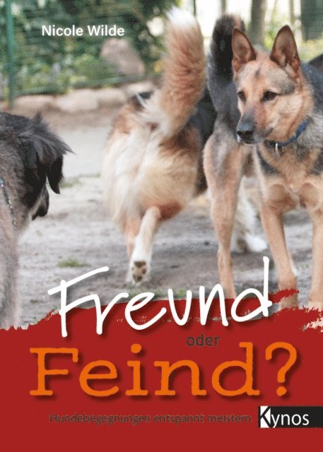 Nicole Wilde - Freund oder Feind?, E-bok