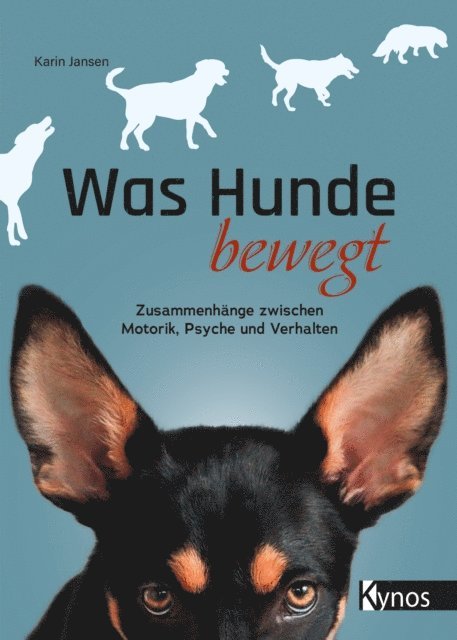 Karin Jansen - Was Hunde bewegt, E-bok