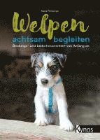 Welpen achtsam begleiten