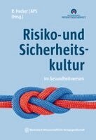 Ruth Hecker, Aktionsbündnis Patientensicherheit e. V. (APS) - Risiko- und Sicherheitskultur im Gesundheitswesen, Häftad