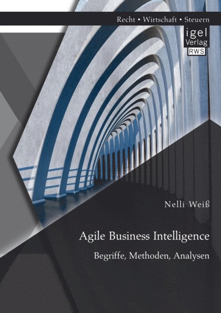 Nelli Wei - Agile Business Intelligence. Begriffe, Methoden, Analysen, E-bok