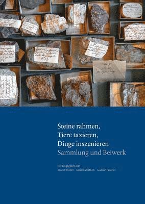 Kristin Knebel, Cornelia Ortlieb - Parerga Und Paratexte / Steine Rahmen, Tiere Taxieren, Dinge Inszenieren: Wie Dinge Zur Sprache Kommen. Praktiken Und Prasentationsformen in Goethes S, Inbunden