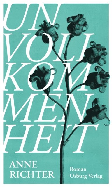 Anne Richter - Unvollkommenheit, E-bok