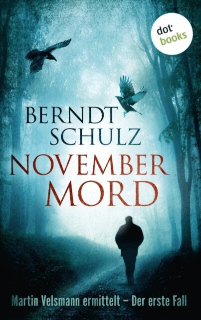 Berndt Schulz - Novembermord: Martin Velsmann ermittelt - Der erste Fall, E-bok