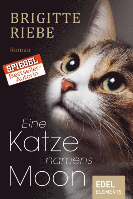 Brigitte Riebe - Eine Katze namens Moon, E-bok