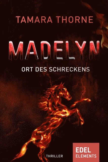 Tamara Thorne - Madelyn - Ort des Schreckens, E-bok