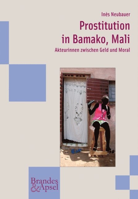 Ines Neubauer - Prostitution in Bamako, Mali, E-bok