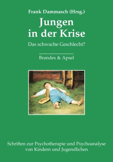 Frank Dammasch - Jungen in der Krise, E-bok