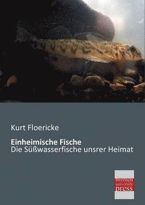 Kurt Floericke - Einheimische Fische, Häftad