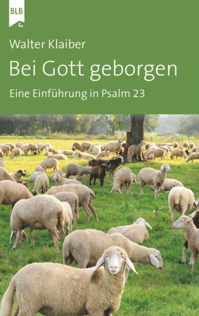 Walter Klaiber - Bei Gott geborgen, E-bok