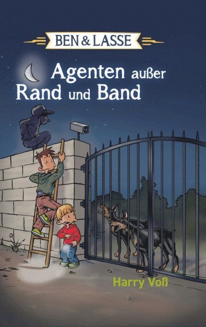 Harry Vo - Ben und Lasse - Agenten außer Rand und Band, E-bok