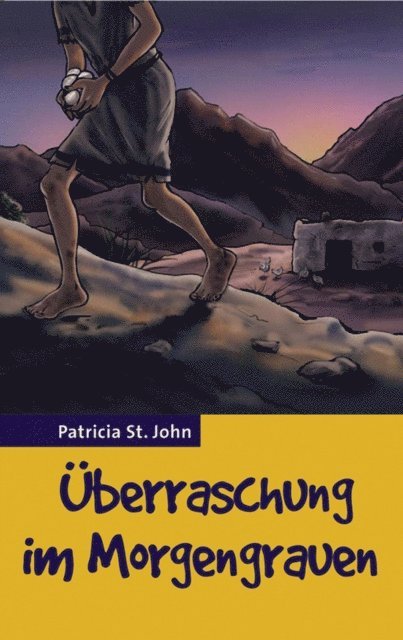Patricia St John - Überraschung im Morgengrauen, E-bok