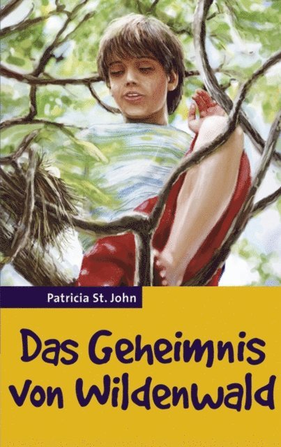 Patricia St John - Das Geheimnis von Wildenwald, E-bok