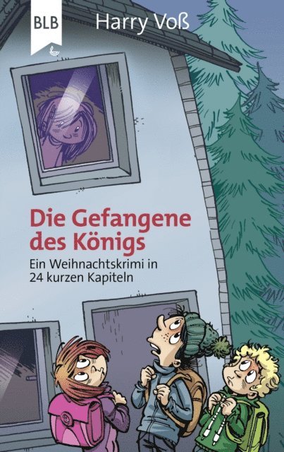 Harry Vo - Die Gefangene des Königs, E-bok