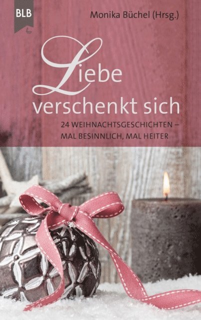 Anneli Klipphahn, Gretel von Holst, Susanne Hornfischer, Elisabeth Buchle, Ursula Schroder, Michael Jahnke, Monika Buchel, Hannelore Schnapp, Karin Baltensperger, Stephanie Platte, Susanne Koch, Christel Brodbeck, Monika Buchel - Liebe verschenkt sich, E-bok