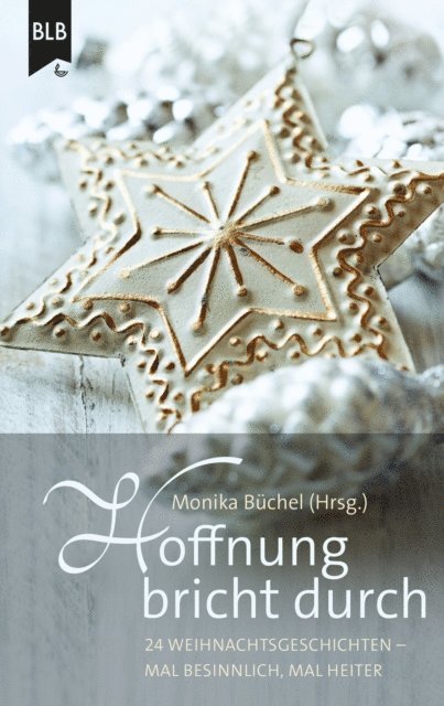 Michael Jahnke, Susanne Hornfischer, Marlis Busching, Susanne Koch, Ralf Muhe, Marion Rademacher, Simone Schachterle, Elisabeth Buchle, Ursula Schroder, Monika Buchel, Hannelore Schnapp, Anneli Klipphahn, Monika Buchel - Hoffnung bricht durch, E-bok