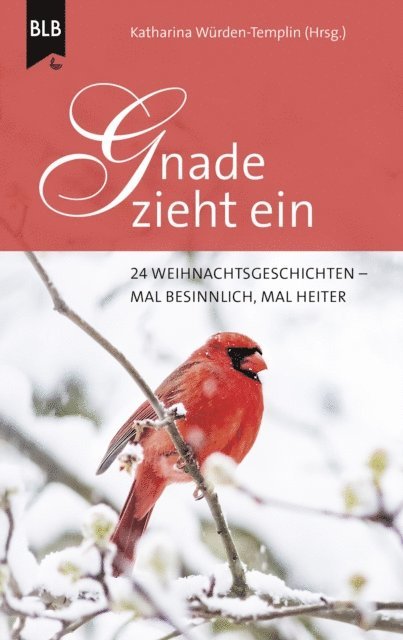 Friedemann Schmidt, Christian Jansen, Karl-Heinz Becker, Sr. Ruth Ruppert, Sigrid Offermann, Stefanie Schieber, Christiane Booker, Hannelore Schnapp, Alexander Vogt, Dr. Jochen Bohne, Elisabeth Buchle, Iris Vo, Anneli Klipphahn, Oliver Helmers, Ursula Schroder, Katharina Wurden-Templin, Katharina Wurden-Templin - Gnade zieht ein, E-bok