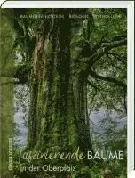 Jürgen Schuller - Faszinierende Bäume in der Oberpfalz, Inbunden. Tillgänglighet: Lägg i varukorg