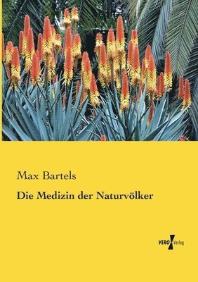 Max Bartels - Medizin der Naturvölker, Häftad