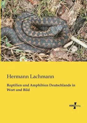 Hermann Lachmann - Reptilien und Amphibien Deutschlands in Wort und Bild, Häftad. Tillgänglighet: Lägg i varukorg