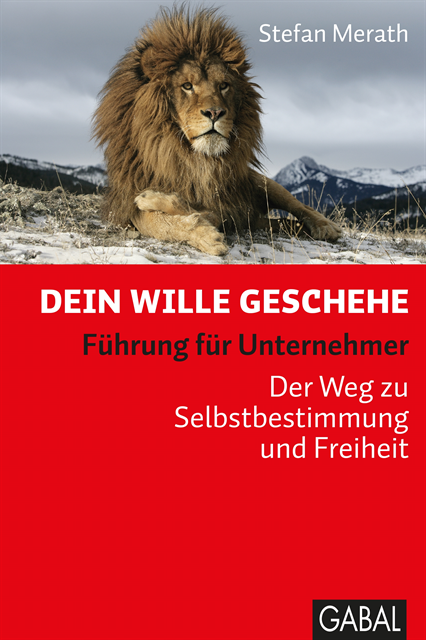 Stefan Merath - Dein Wille geschehe, E-bok