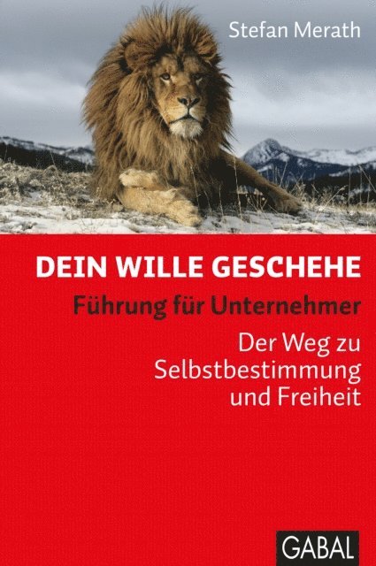 Stefan Merath - Dein Wille geschehe, E-bok
