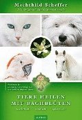 Tiere heilen mit Bachblten - Praxisbuch