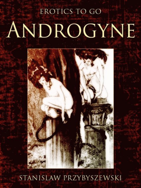 Stanislaw Przybyszewski - Androgyne, E-bok