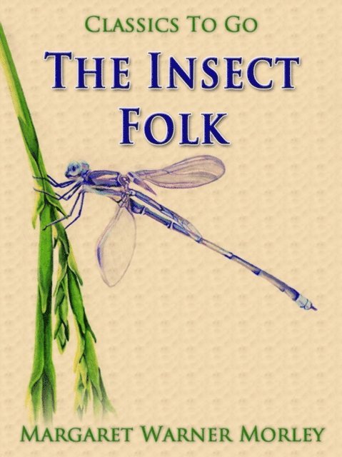 Margaret Warner Morley - Insect Folk, E-bok