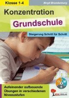 Hans-Peter Pauly - Konzentration Grundschule, Inbunden
